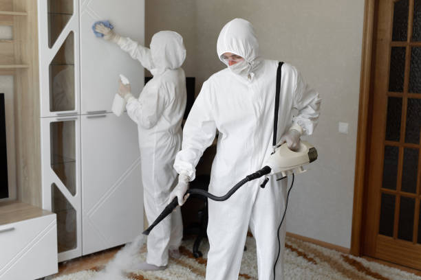 Best Crawl Space Mold Removal  in Olivia, MN