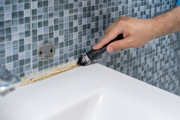 Best Affordable Mold Removal  in Olivia, MN